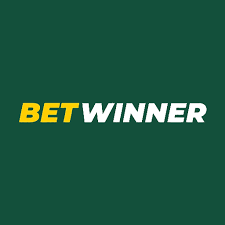 Comprehensive Review of BetWinner Casino and Sportsbook -851573073